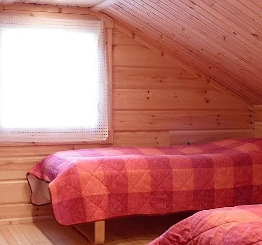 Ylae-saarikko * Kuusa